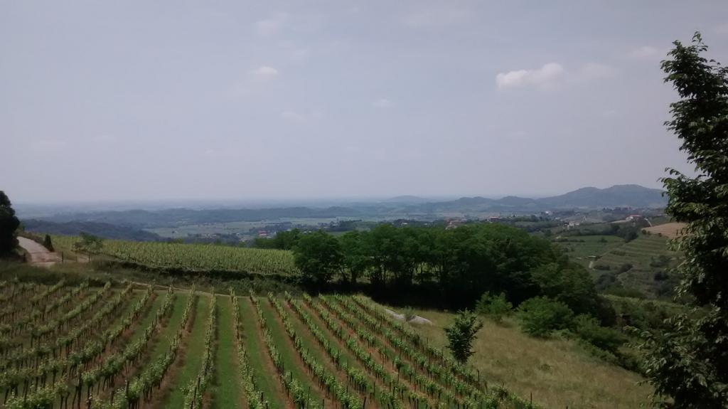 marco ponta tweet media