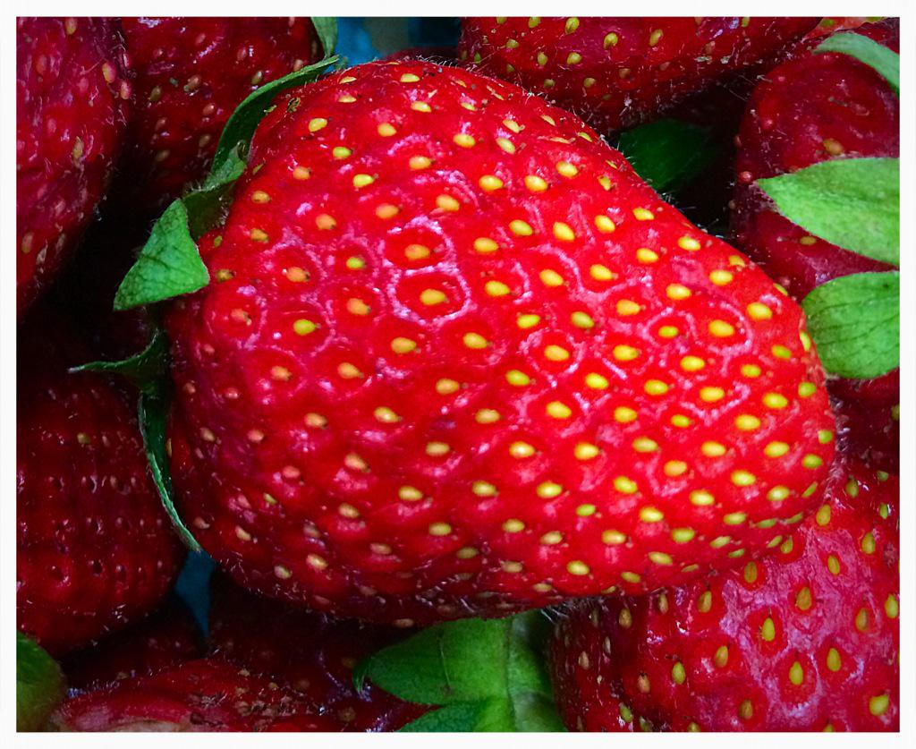 Something_GUD's tweet photo. What's that?  Could it be? Yeah that's right, it's the seasons first berries!  #eatgud #gud #eatlocal #localfood http://t.co/fj9LAC3use