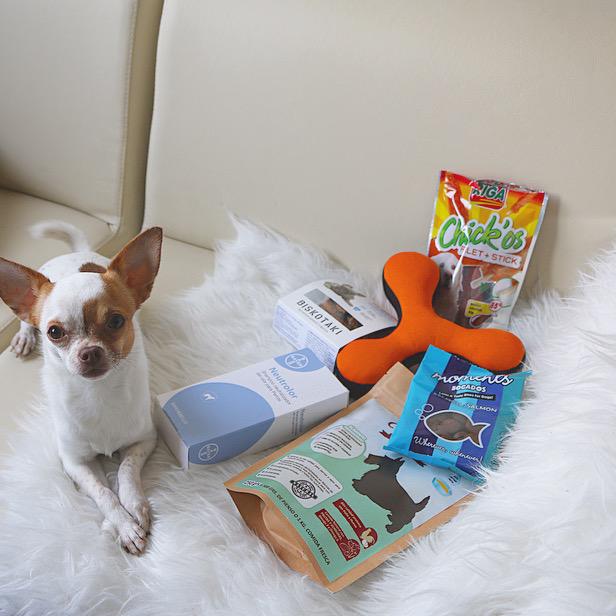 PasoAPasoBlog's tweet photo. El pequeño Miumiu no ha podido resistirse a la delicias de @PetSecret_es. ❤️ http://t.co/BHqfSU7eia
