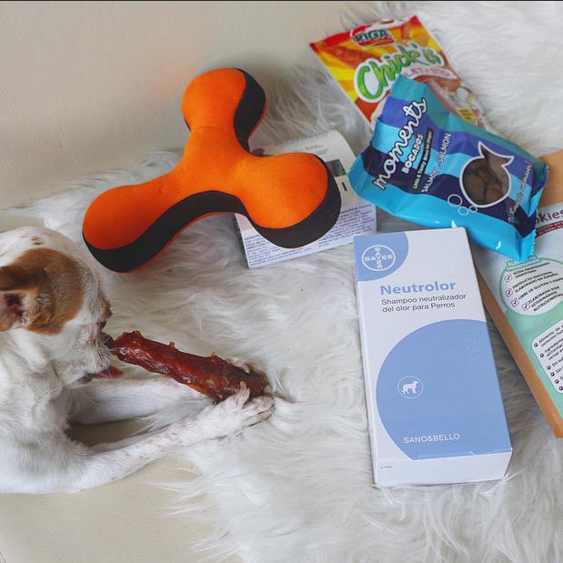 PasoAPasoBlog's tweet photo. El pequeño Miumiu no ha podido resistirse a la delicias de @PetSecret_es. ❤️ http://t.co/BHqfSU7eia