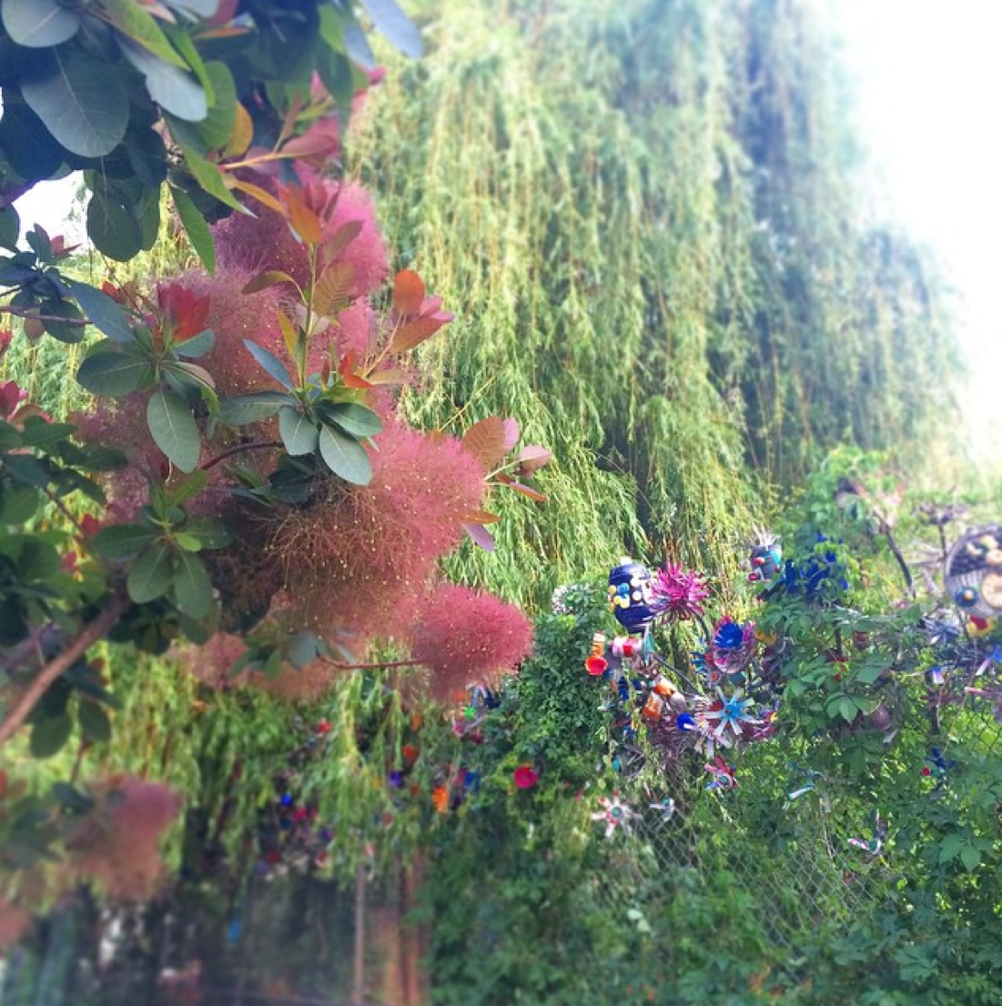 HallWaysKirsten's tweet photo. Monday, you're back too soon! Still lost in east village weekend dream mode... #nofilter #justspring 🌸🌿🌺 http://t.co/mHh3exWt1G
