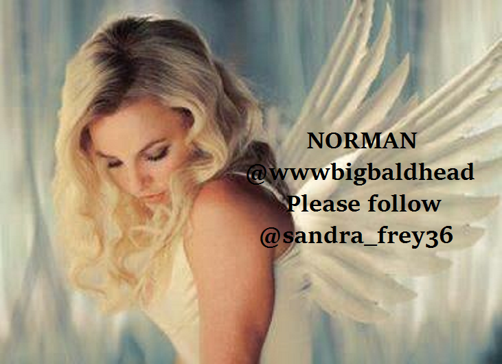 NORMAN ❤<a href="/wwwbigbaldhead/">norman reedus</a>❤ #PLZFOLLOW @sandra_frey36