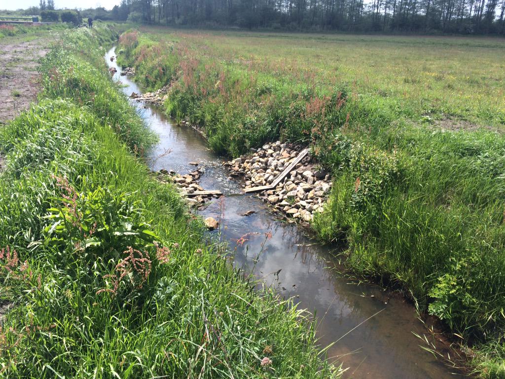 Mooi werk! #vispassage #WapserveenseAa @reestenwieden