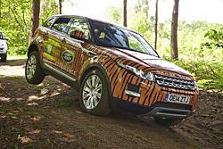 Start Off - Road tweet media