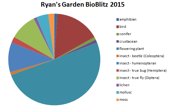 RyanClarkNature's tweet photo. My final #gbb15 total is a disappointing 95 species. Much less than last year. Weather and energy levels to blame. http://t.co/JGKs3383fT
