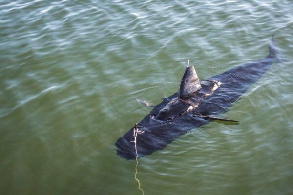 Drones that look like sharks! #sneaky
