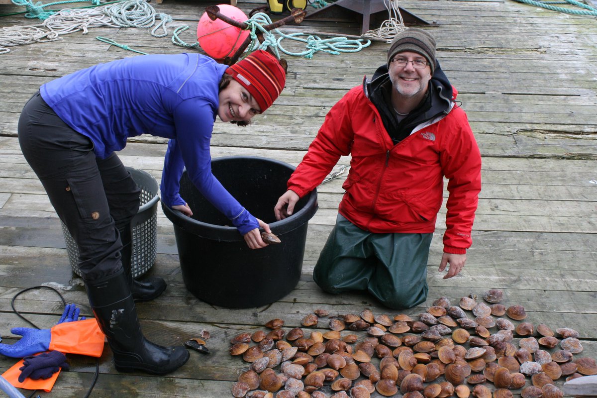 FrostArctic's tweet photo. Forgot the daily pictures...seagull eggs and clams today...ate one, not the other... http://t.co/fZyMGsRCxA