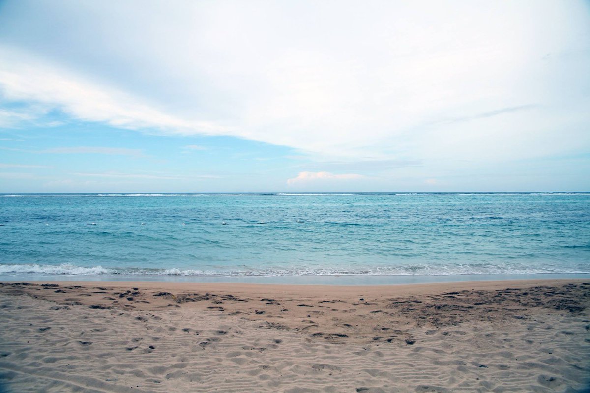 Pearly Beach tweet media