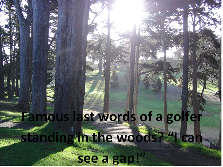 RoyalWoodbineGC's tweet image. Have you ever said this? @royalwoodbine #torontogolf #golfontario #funwithgolf #intothewoods #troubleclub