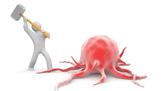 TribeCode's tweet image. @SanfordBurnham researchers identify a new target for treating drug-resistant melanoma - bit.ly/1J9Fxj8 #JAK1