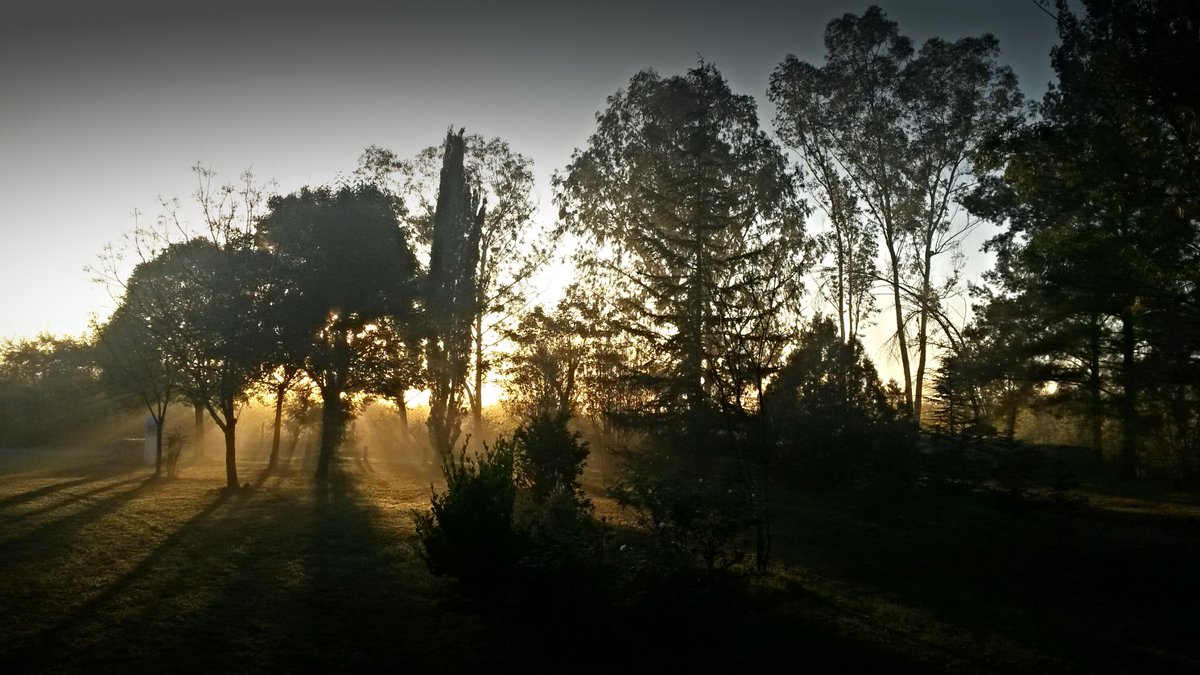 ¡Hermoso inicio de esta semana! Amanecer en finca|valentina #miprimerTweet #fincavalentina #salta