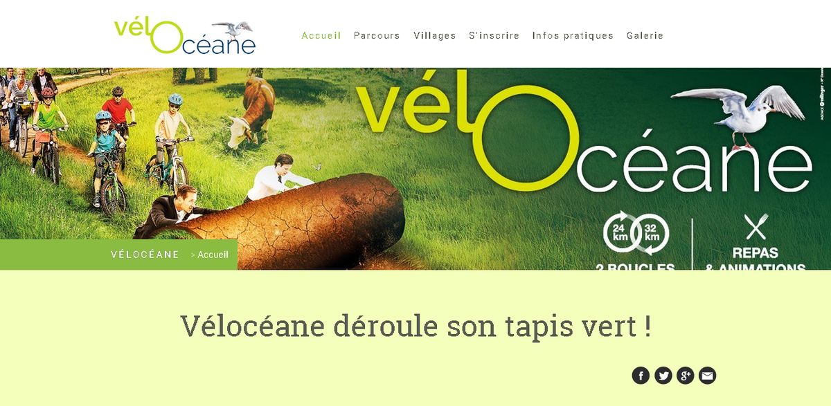 Vendée des îles tweet media