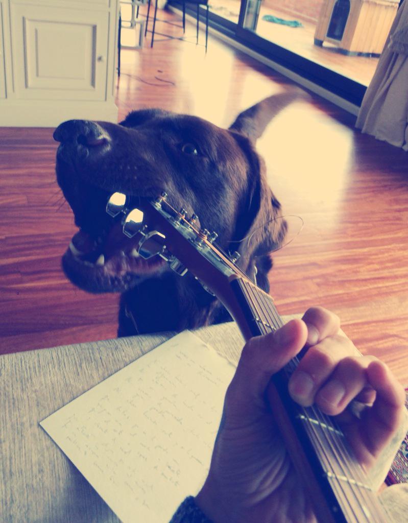 Leiva_Oficial's tweet photo. Somos carne de canciòn. L http://t.co/Dt7LvLEHuS