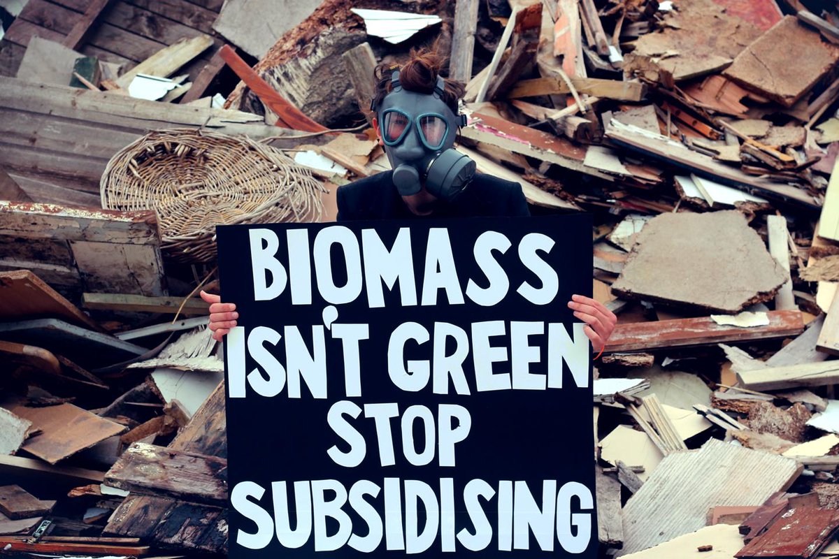 BioenergyAction's tweet image. Boomeco biomass plant isn't green and causes significant local pollution, message from #ReclaimThePower action today