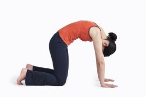 RenewSpinalCare's tweet photo. Sitting at a desk all day? Try this stretch: https://t.co/UJeDI6e5fZ http://t.co/LpGKdNI7Zf