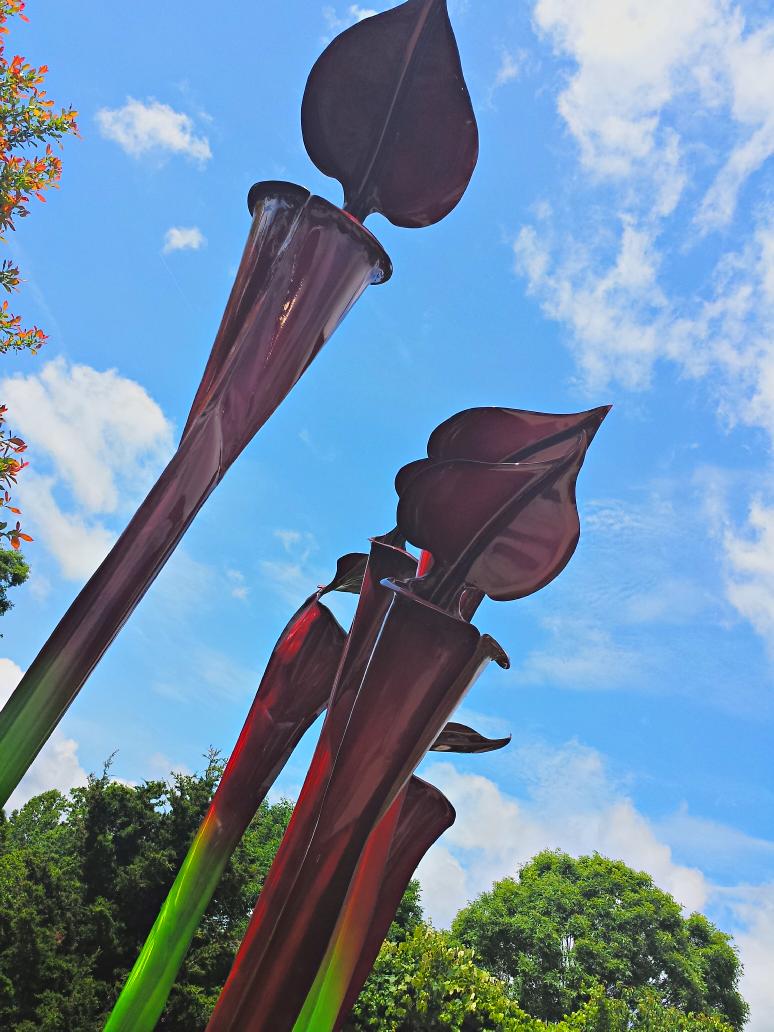 Scene from the Asheville arboretum