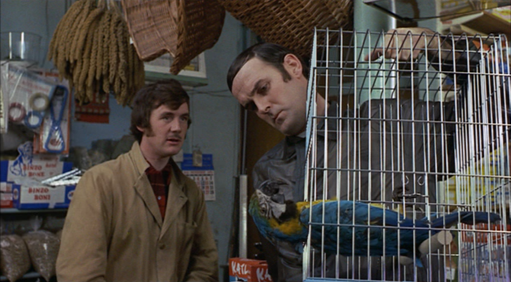 grangeparkopera's tweet photo. Thanks to @DavidMHeathcote, who point out Schaunard was employed to this fella. #DeadParrott #montypython #GPOBoheme http://t.co/L52Zoz8fu6