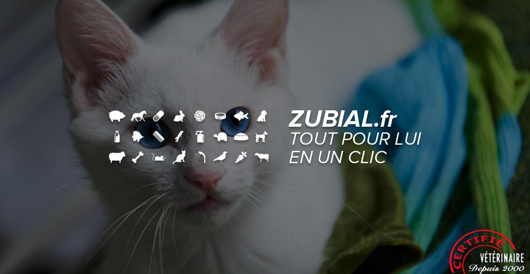 CrowdfundBank_'s tweet photo. Plus que 14 jours pour investir dans le projet Zubial  http://t.co/3HpzFlbaWr #crowdfunding #ecommerce #investir http://t.co/OgquYaNR0l