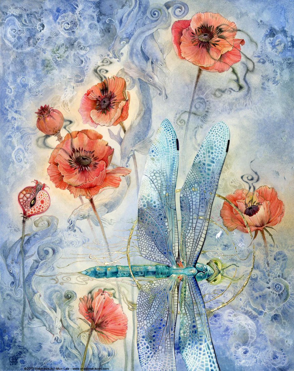 shadowscapes's tweet photo. New #art - "When #Flowers #Dream II" - @KrabJabStudio #ImmortalEphemera show less than 2 weeks away! http://t.co/xvoU2FQAMg