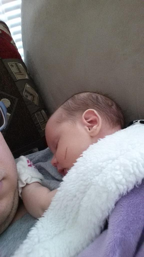 balaneski's tweet image. I'm accepted my new role in life as "Baby Mattress" #ImABed