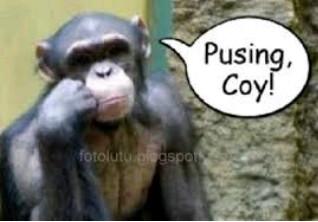 Reni Yulianti (@rherejie) on Twitter photo 