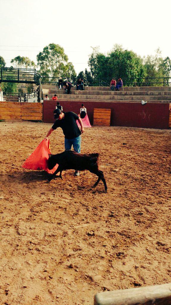 Cárdenas Jr. tweet media