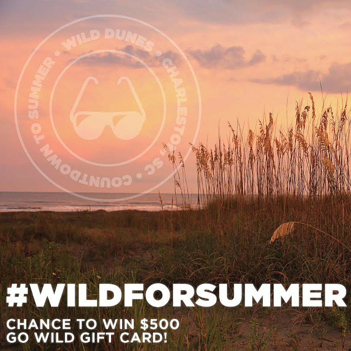 WildDunesResort's tweet photo. LAST CHANCE! Enter #WildForSummer #Contest for your chance to win a $500 Gift Card!! http://t.co/4c4z2jR3ym http://t.co/fLyL1YbPbx