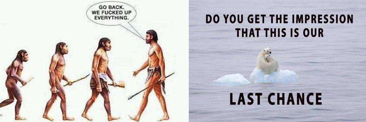 _AnimalAdvocate's tweet photo. Answer to this question tells you how clever your #species is
Does it #crap where it #sleeps?
#ShellNo

#shelltricks http://t.co/Dndv0HavKL
