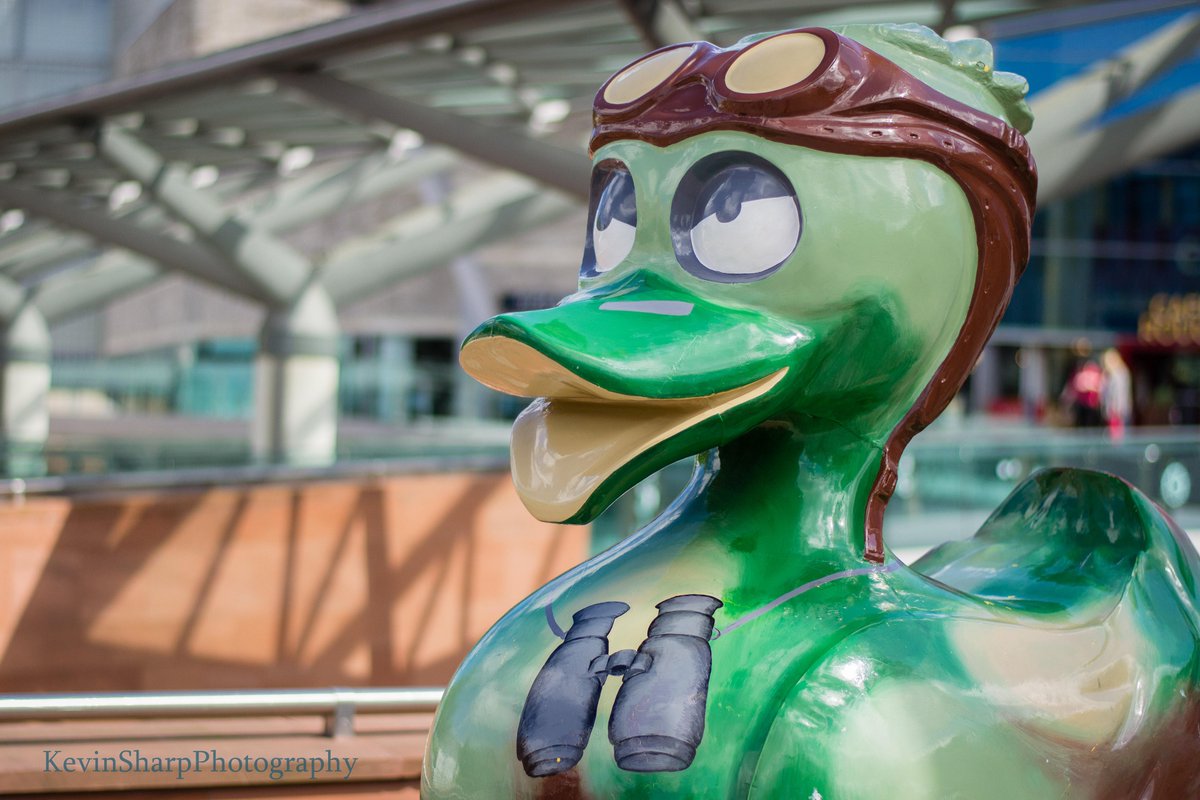 kevinsharp7's tweet photo. Park Duck @Liverpool_ONE #LiverpoolDuckTrail #ducksnap @AquaDucked http://t.co/EKDz22D90P