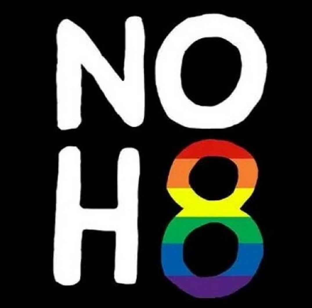 NOH8Campaign's tweet photo. June is Pride Month! We're going rainbow to celebrate the history, identity &amp; diversity of the #LGBT community. #NOH8 http://t.co/kMdL56suIJ