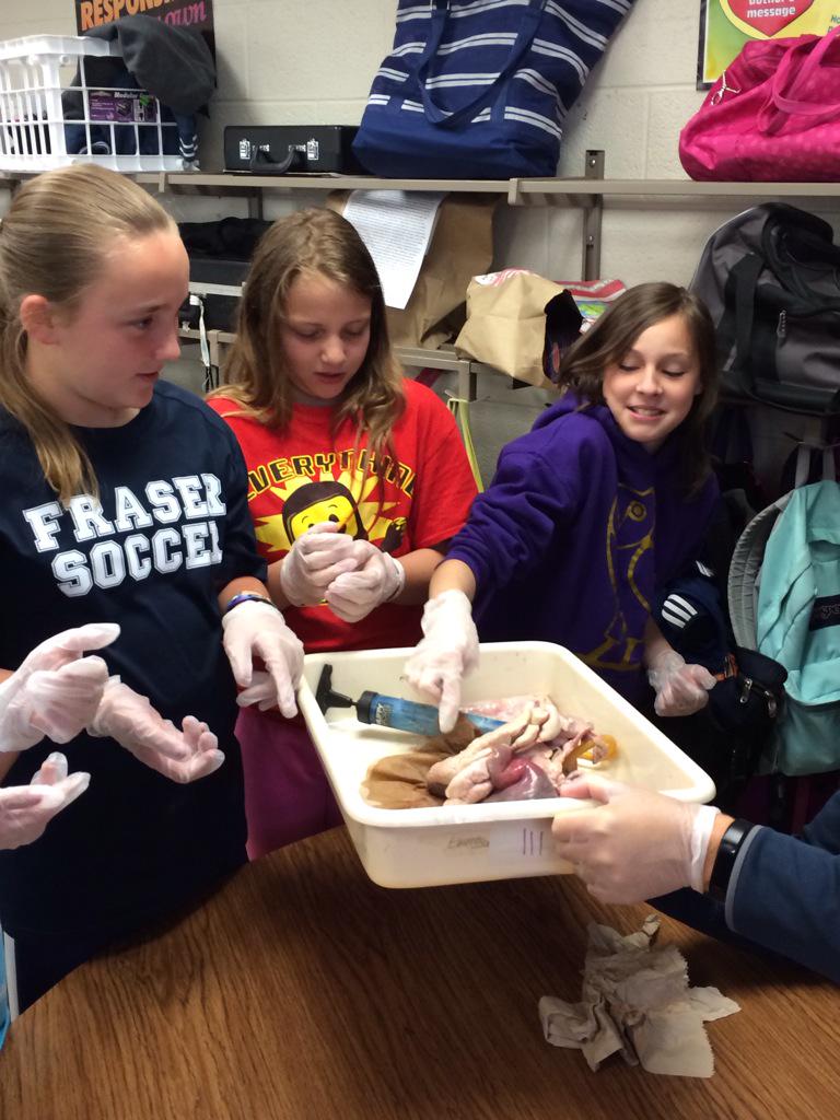 KrisRiffe's tweet photo. Sheep lung dissection in HEART class today with Mr. Anderson! http://t.co/9WIBOPzPJd