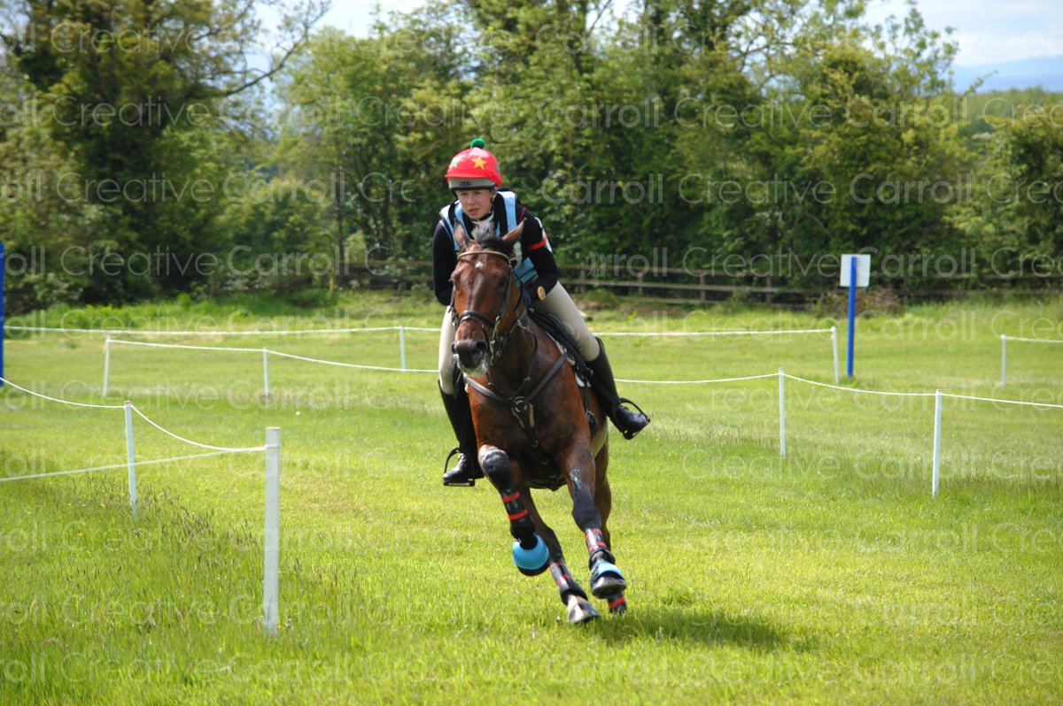 Rising Storm ridden by Romy Bolger in the @RED_MILLSfeed CCI2* U24 at @Tatts2015 

#HorseTrials

©<a href="/CarrollCreate/">Carroll Creative</a>