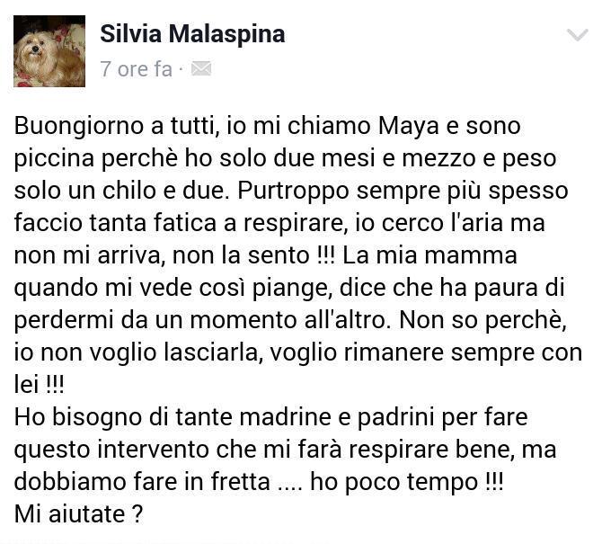 MicaelaGattaP's tweet photo. #RT #VIPREGO #URGONOAIUTIdaTUTTINOI
SE NON SI OPERA SUBITO MORIRÀ!
IL CUORICINO DELLA PICCOLA MAYA❤ È TANTO MALATO http://t.co/wBWE4wPXqz
