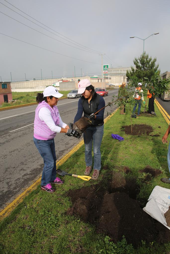 MetepecGobierno's tweet photo. Cerca de 100 árboles fueron ubicados en el camellón del libramiento José Ma. Morelos y Pavón. #TrabajamosAlCienPorTi http://t.co/oYNoks9803