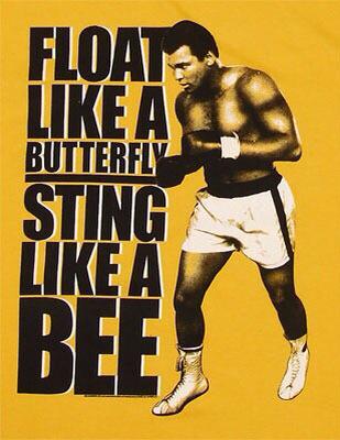 DaveWillmott1's tweet image. @AmyStrode @GYMBOXofficial love a good plank ,next week 2 minutes ,,#ironabs