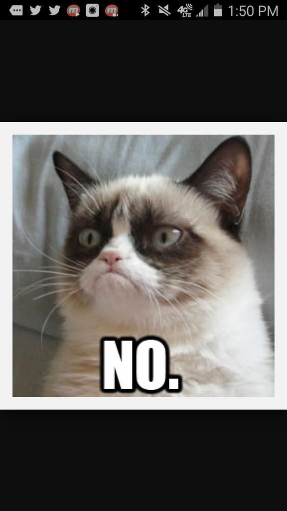 ford_game's tweet image. 