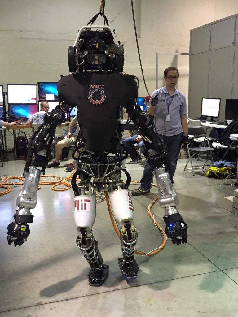 Claudia D'Arpino 🤖🧠 tweet media