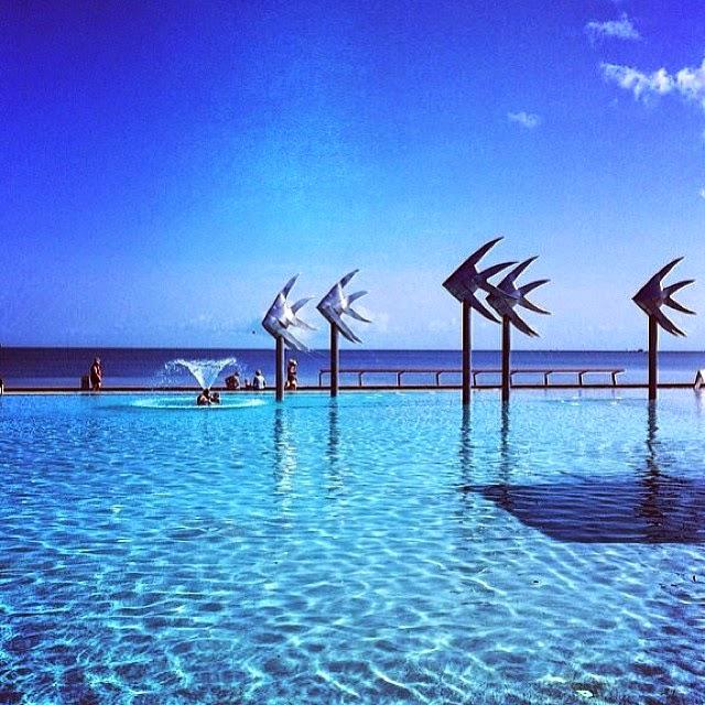 CairnsPacHot's tweet photo. Did you know we're located right on the Cairns Esplanade? http://t.co/TJHifbdnlk #cairns I.G jonnykey1888 http://t.co/Ho9mgXDI5d