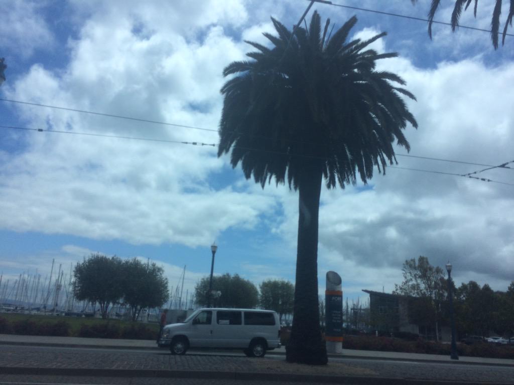 nicksologist's tweet image. I left my ❤️San Francisco #mostdef