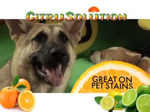 citrusolutioncu's tweet image. Check out this video on how our #carpetcleaning is better than all the rest! bit.ly/1K5qEz0