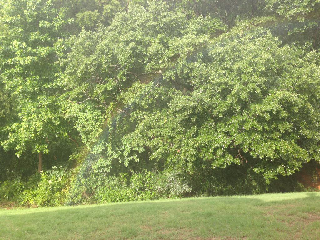 Jason Petesch On Twitter Small Rainbow In My Backyard