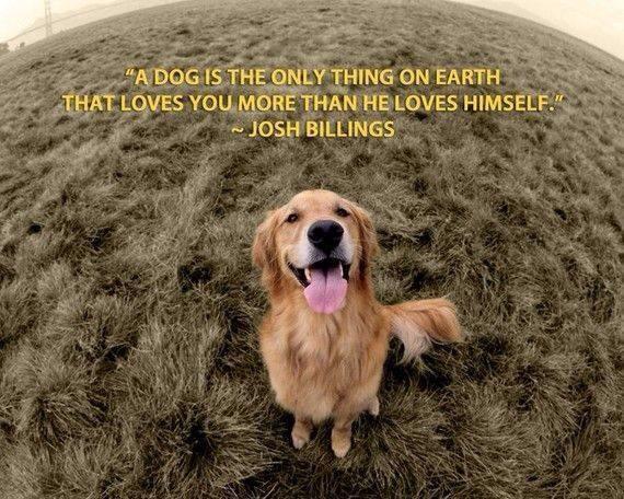 My pets are like family