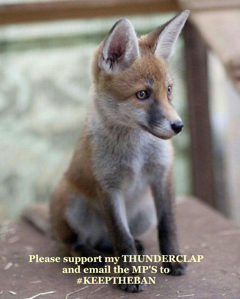 peter burton tweet media