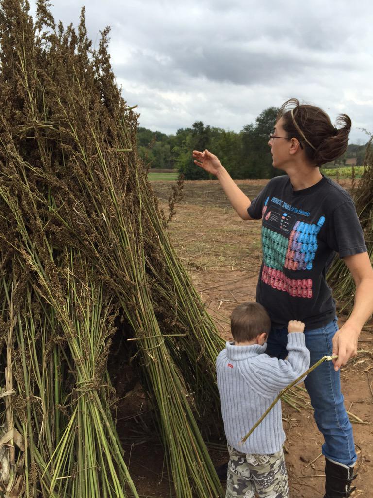 Kentucky Hempsters tweet media