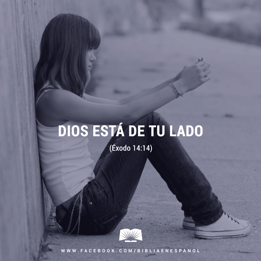 JovenesSomosES's tweet photo. Ustedes no se preocupen, que el Señor va a pelear por ustedes. - Éxodo 14:14 http://t.co/H3CxVOFUZ2