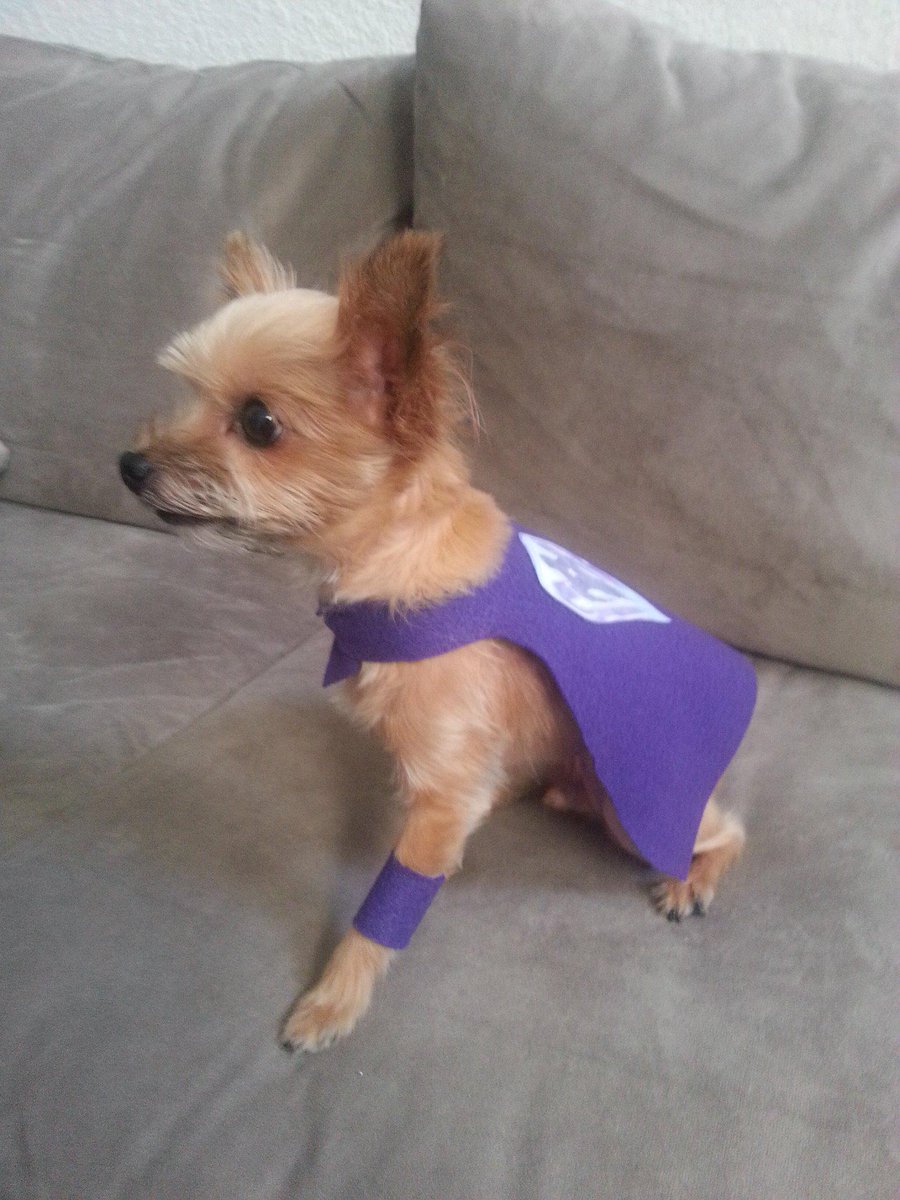 WWWeeSamwise's tweet photo. The #RingPup was watching intently for @WWENeville to hit his favorite move, the #RedArrow. #Raw #WWERaw http://t.co/RJtnoMnMZZ