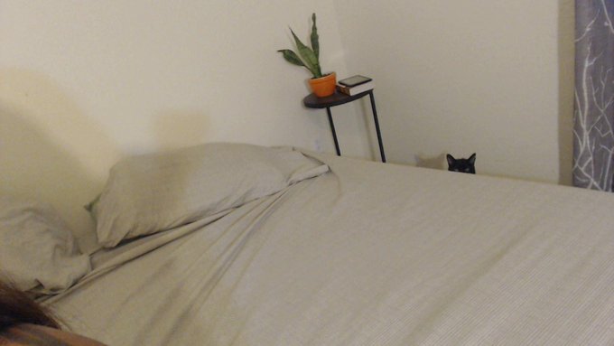 I'm in here testing my lights and she's like.... http://t.co/9JHqlQD5fB<a href="/tag/camgirl"class="tags"><span>#camgirl</span></a><a href="/tag/manyvids"class="tags"><span>#manyvids</span></a>