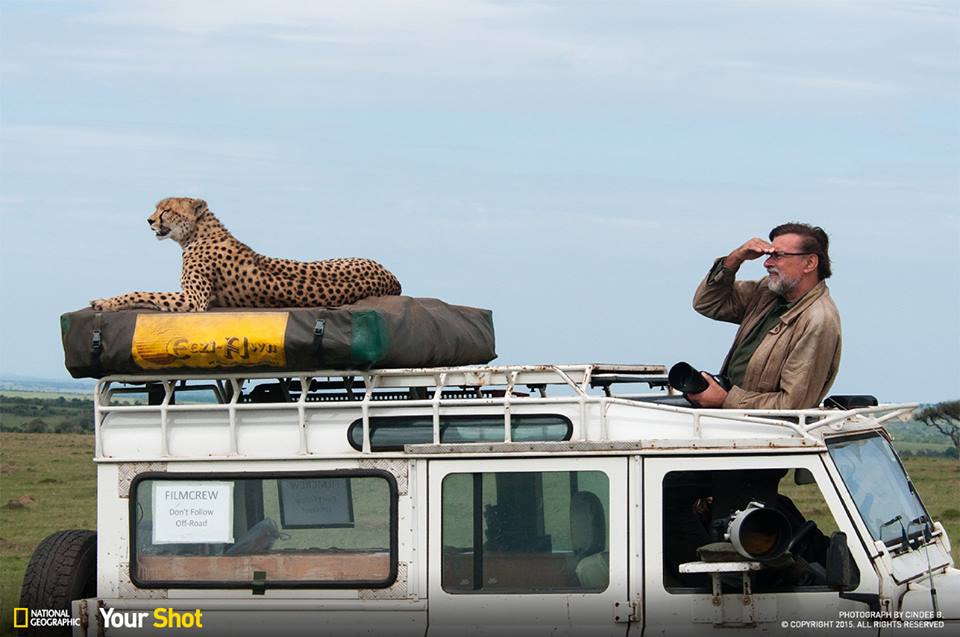 NatGeo's tweet photo. Caption this image by #YourShot member Cindee B. http://t.co/qkFDpVglBK http://t.co/GGheBEKSBR