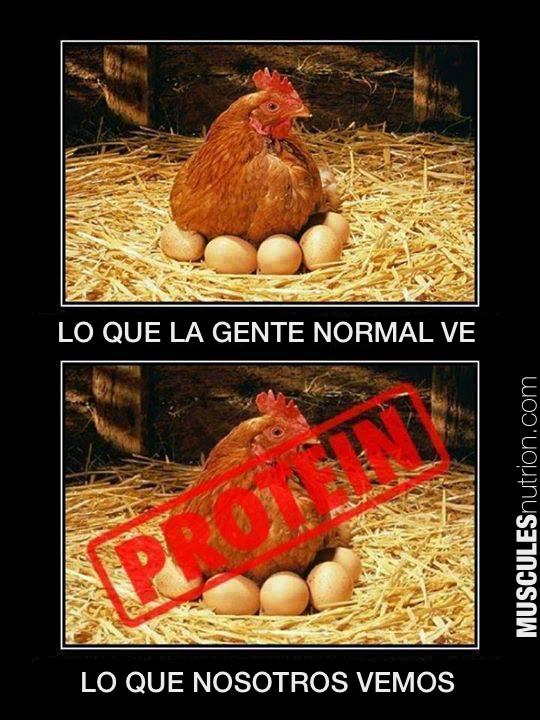 MUSCULESnutricion.com
#PROTEIN