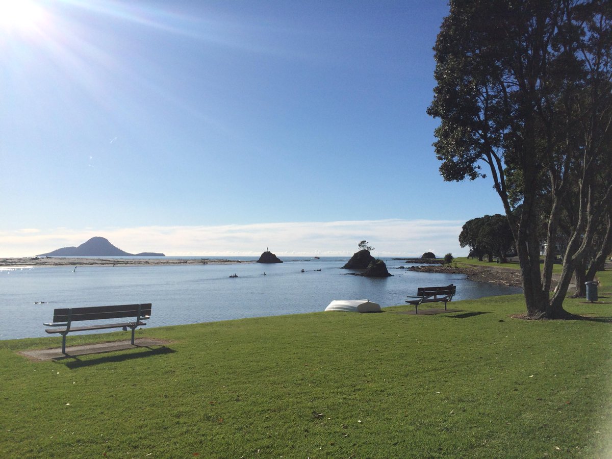 galateagirl's tweet photo. Reason No.137 to love working in the Eastern Bay: walks in your lunch break are a little bit awesome...  #whakatastic http://t.co/BhERZIxV8m